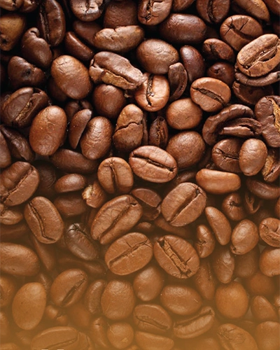 Xuất nhập khẩu cà phê